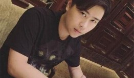 主播最新爆料陈晨视频下载,揭秘幕后真相